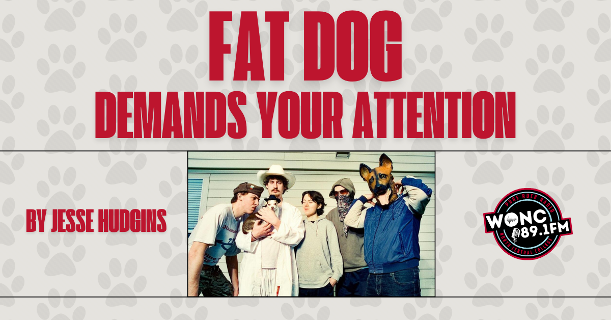 Fat Dog Demands Your Attention