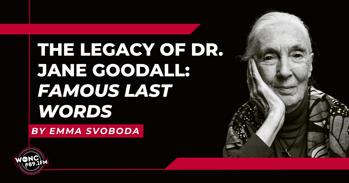 The Legacy of Dr. Jane Goodall: Famous Last Words